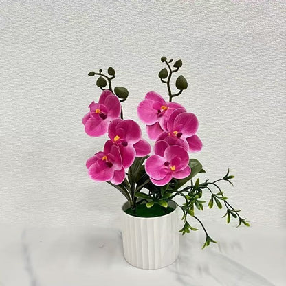 Elegante florale Orchideensträuße
