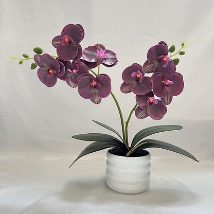 Elegante künstliche Orchideenblumenarrangement für die Wohnkultur