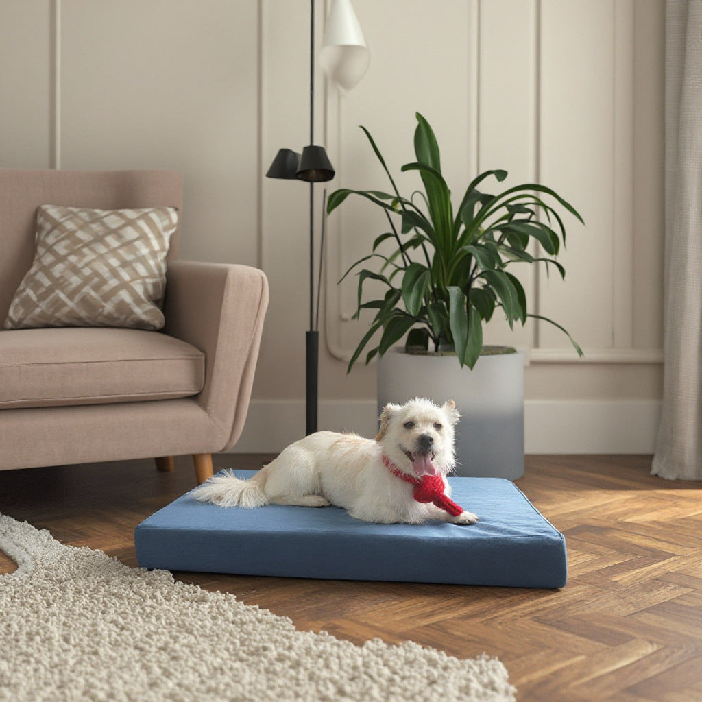 Orthopädisches Schaumstoff Hundebett