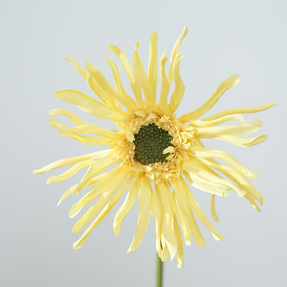 Realistische Sonnenblumenstängel