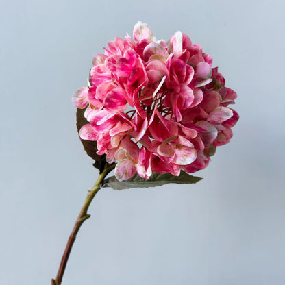 Florale Dekoration