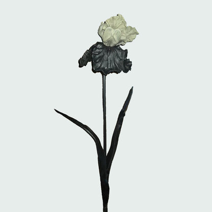 Dekorativer Iris-Blumenstiel