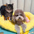 Gemütliches Kissen Hundebett