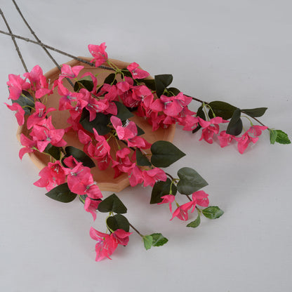 Dekorative Bougainvillea Blumenranke