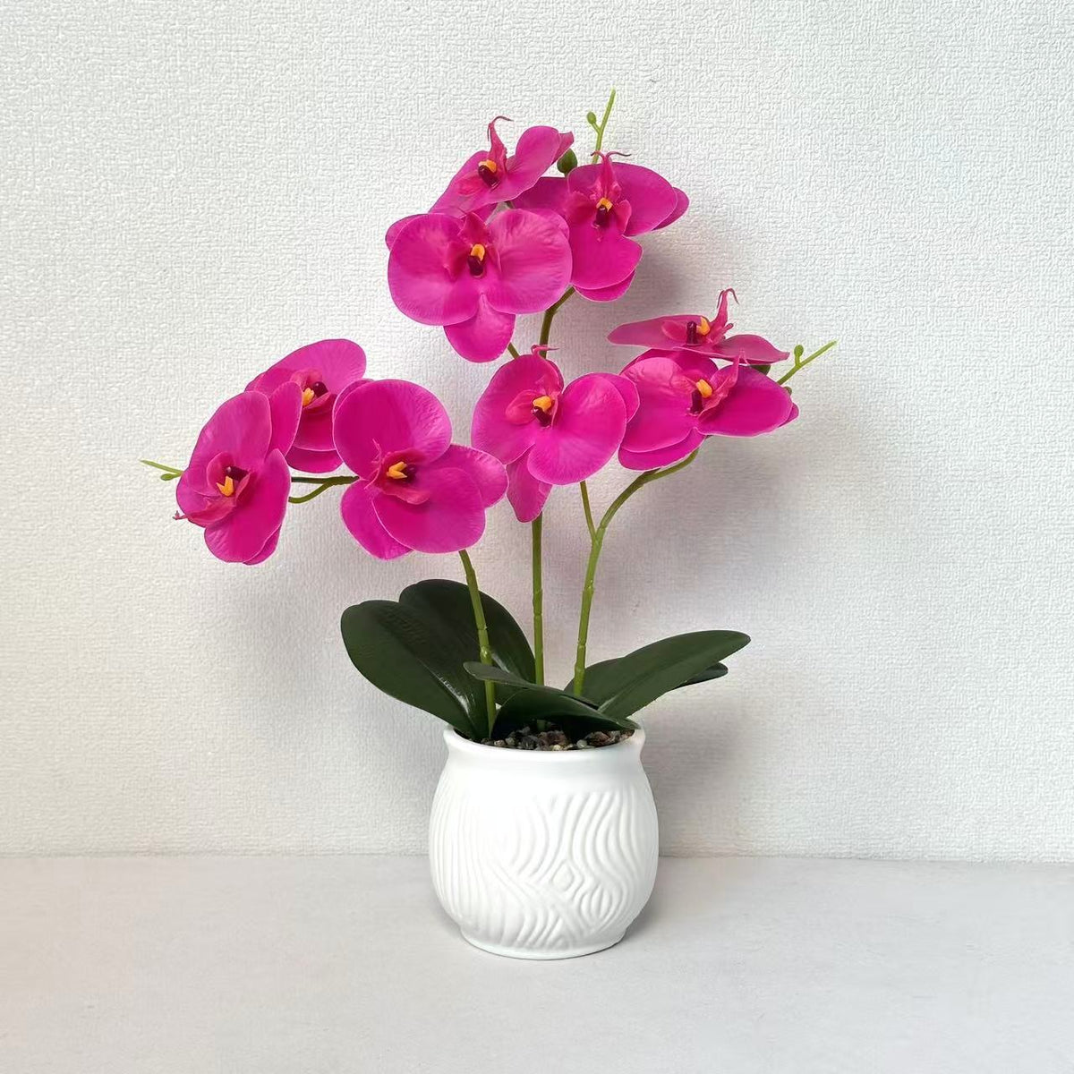 Elegante Orchideen Blumen Display