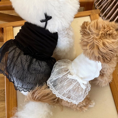 Zartes Spitzen-Tüll-Hundekleid mit gerippter Taille & Dekoration