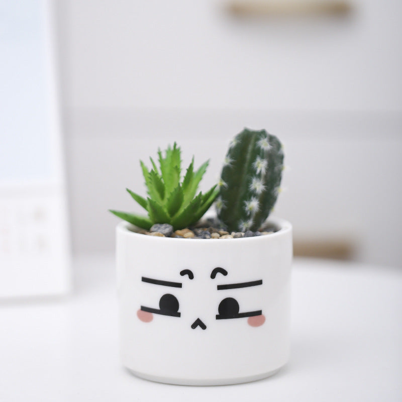 Niedlicher Tier-Themen-Sukkulenten-Planter Brehn