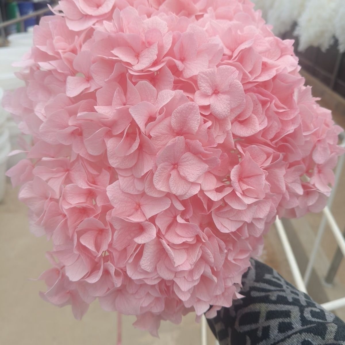 Lebensechte Hortensie Blumenstrauß