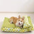 Bequeme orthopädische Lounge-Bett Hundebett