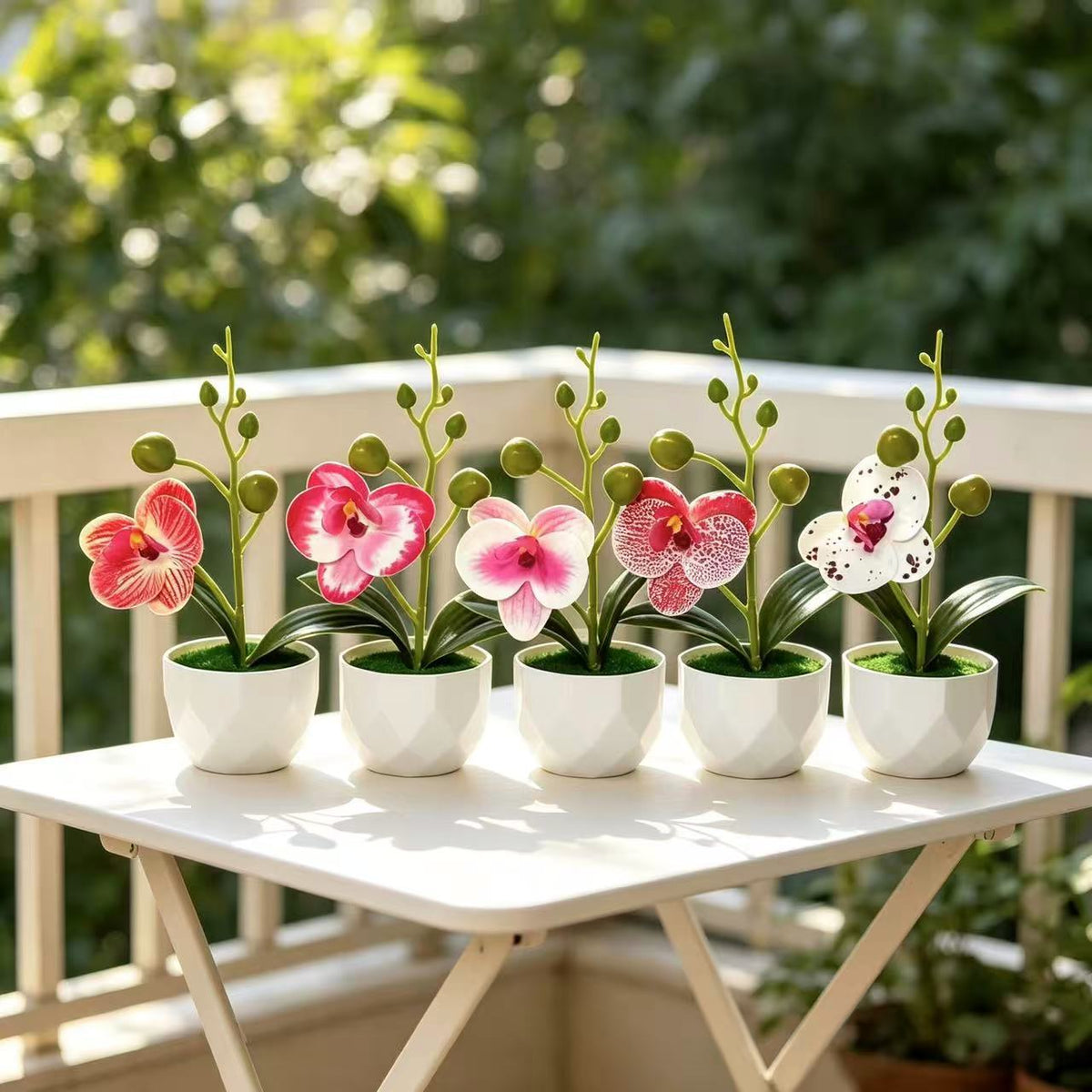 Orchideenpflanzenarrangement