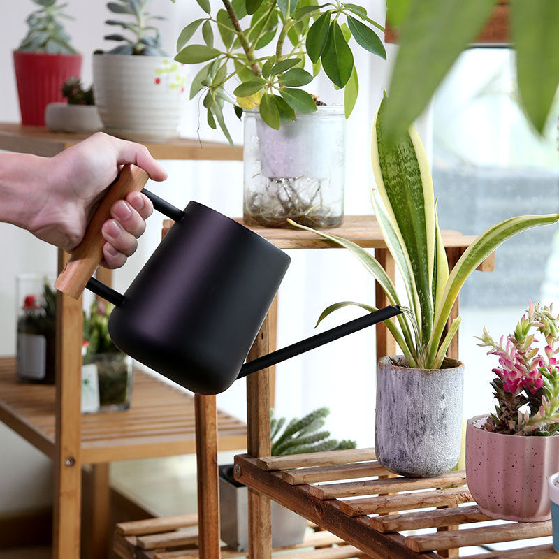 Moderne ergonomische Gießkanne