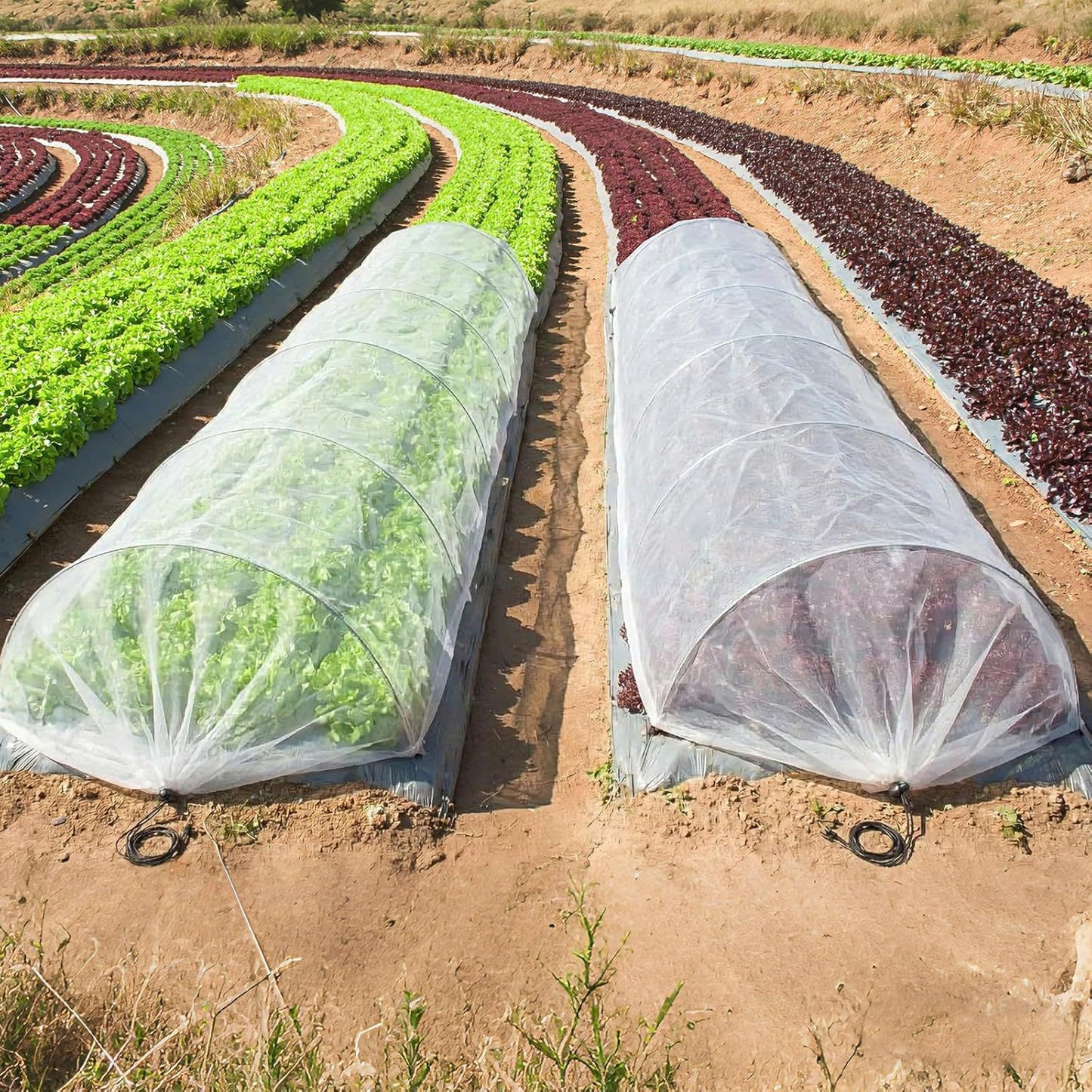 Garten Schutz Tunnelabdeckung Brehn