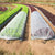 Garten Schutz Tunnelabdeckung Brehn