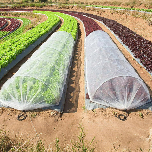Garten Schutz Tunnelabdeckung Brehn