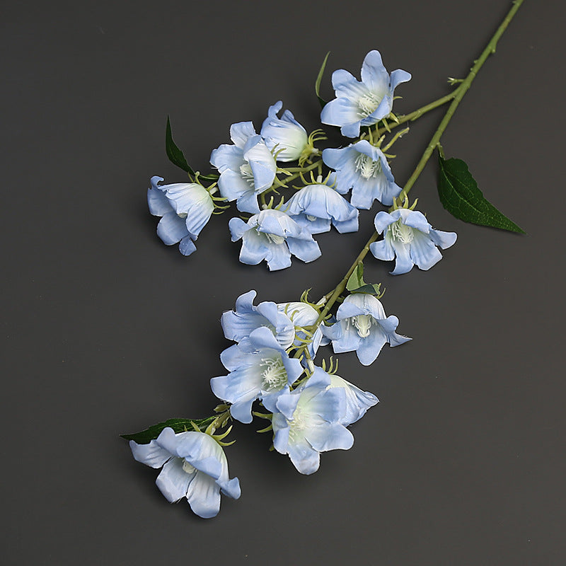 Florale Akzentstängel für die Wohnkultur-Darstellung
