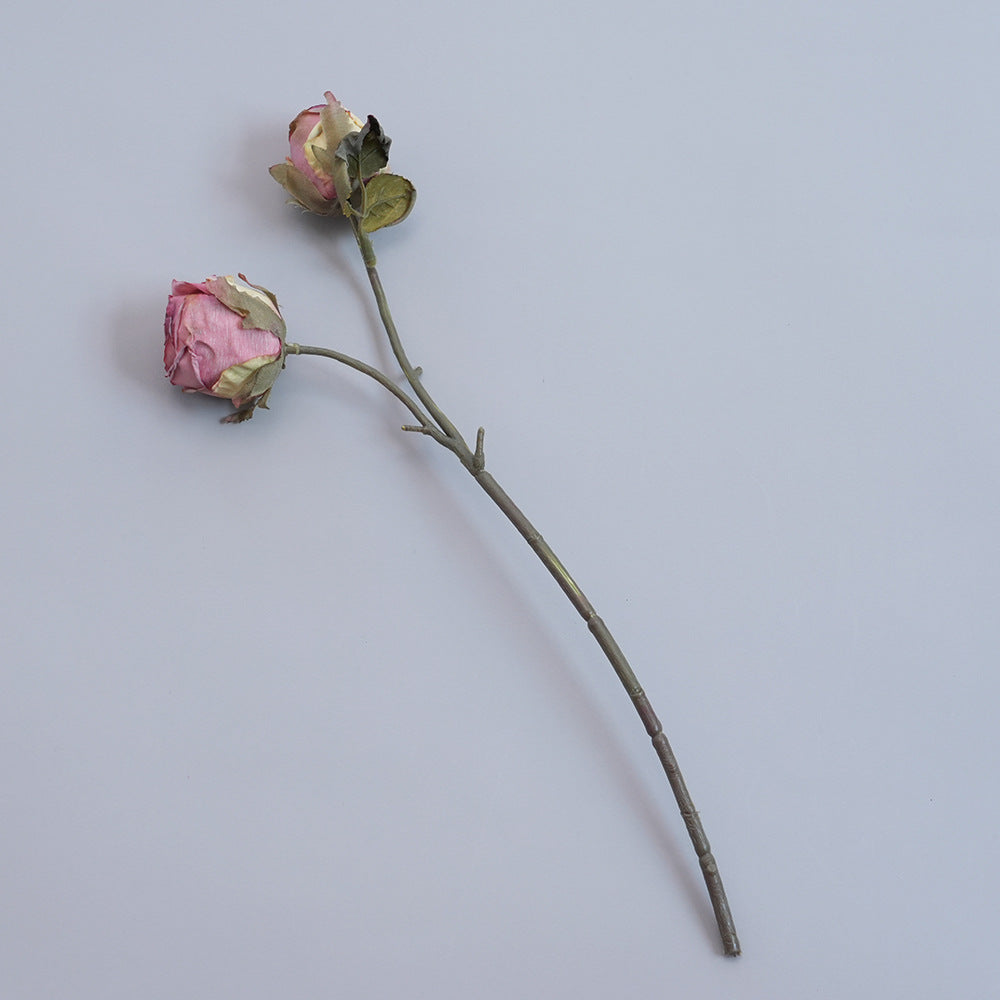 Elegante getrocknete botanische Stiele