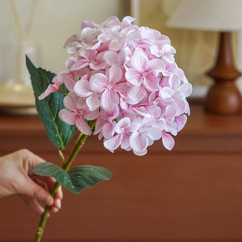 Hydrangea Dekorativer Floraler Stiel