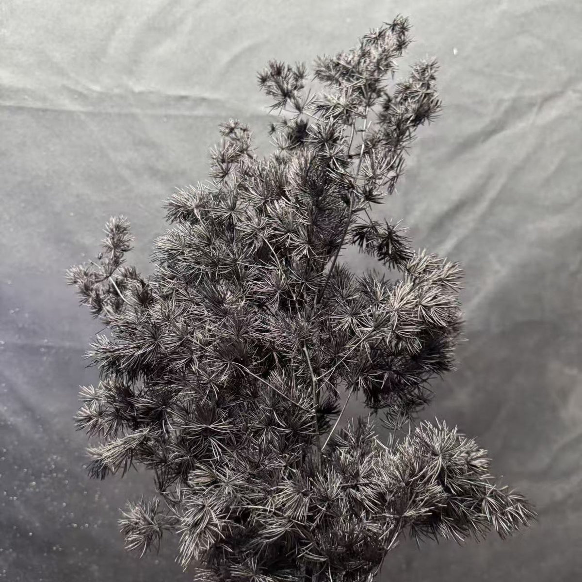 Dekorative Trockenpflanzenarrangement