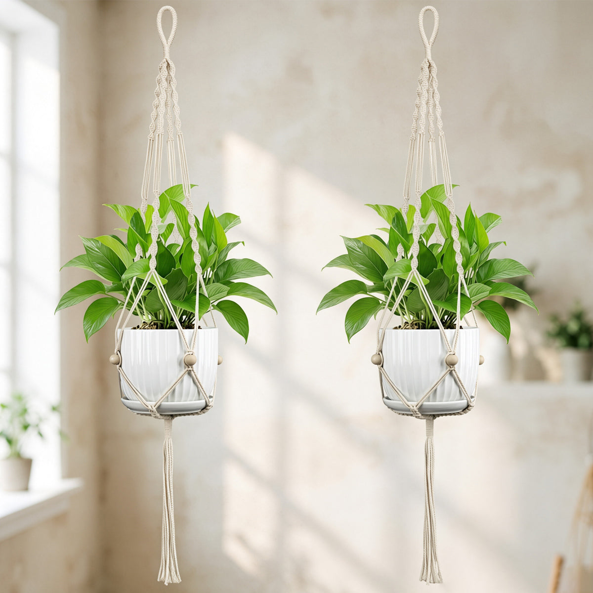 Macramé Pflanzenhänger