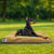 Haltbares Outdoor-Hundebett