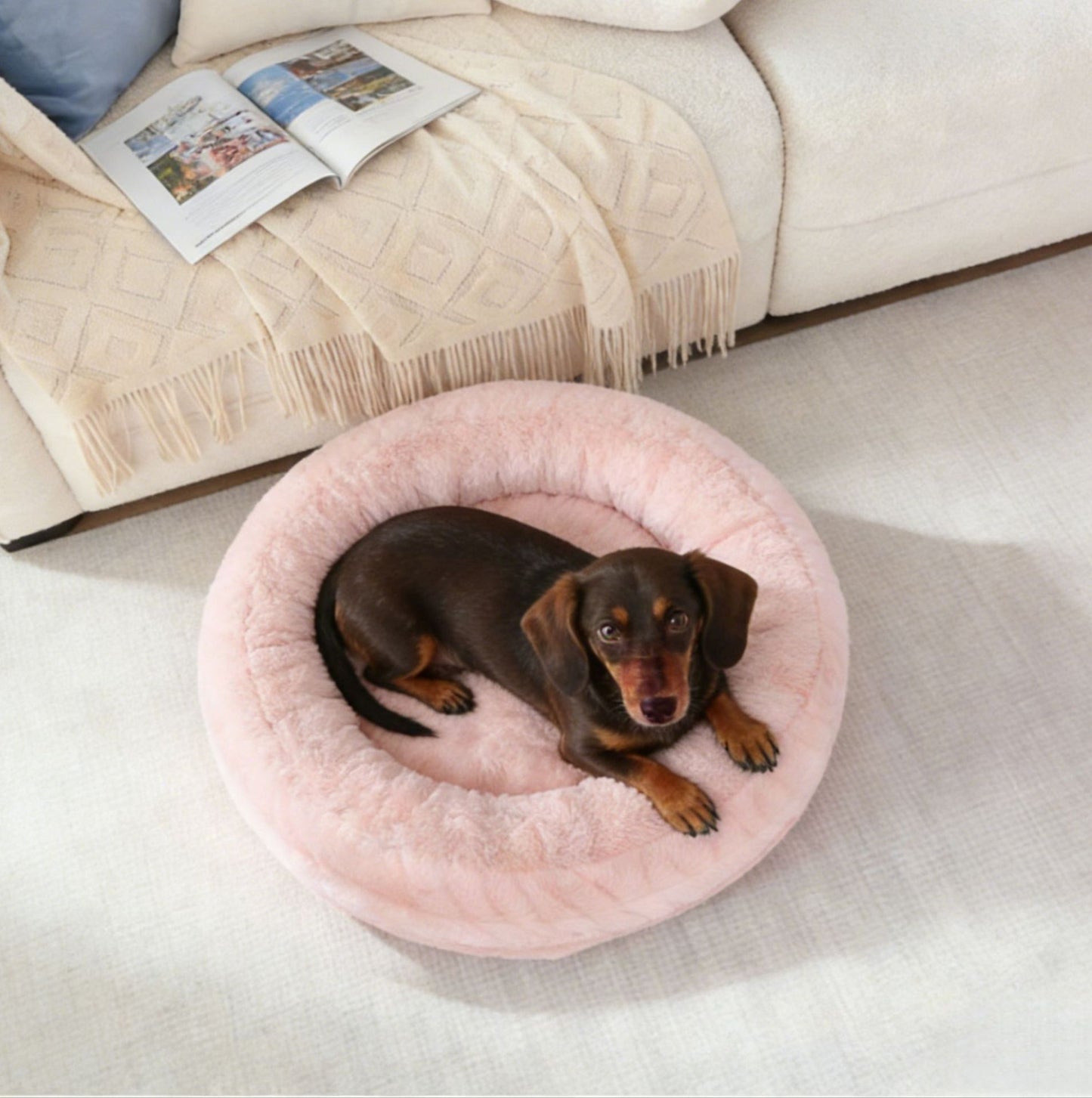 Plüschtherapeutisches Hundekörbchen