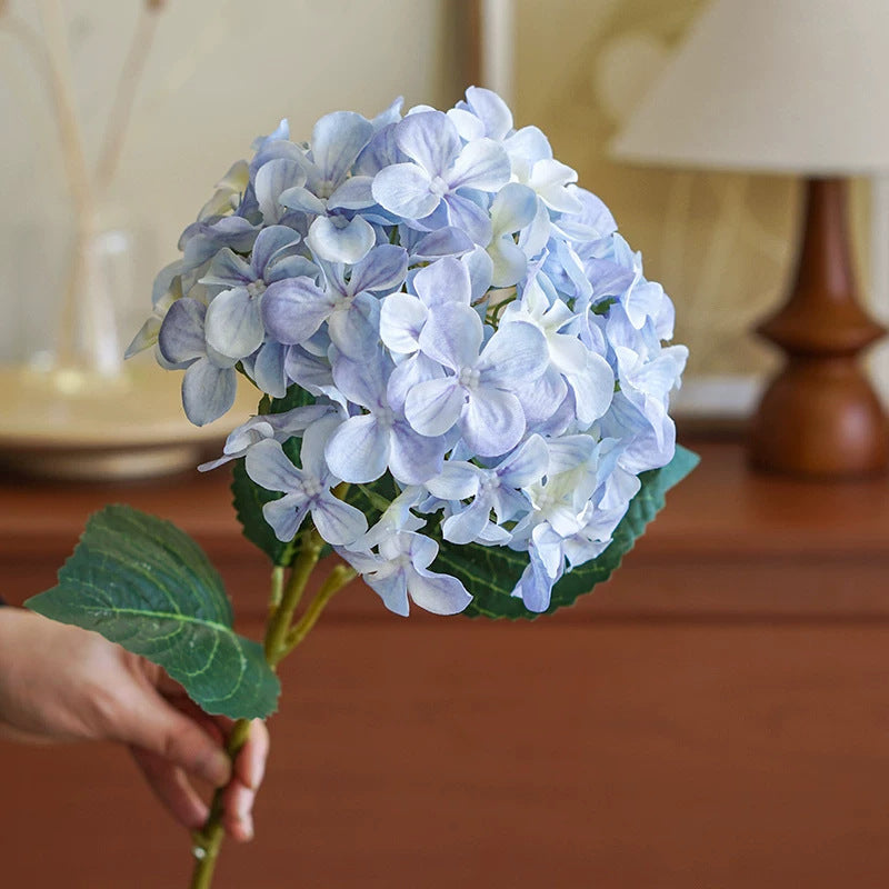 Hydrangea Dekorativer Floraler Stiel