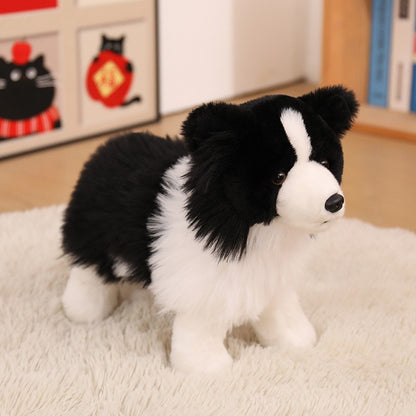 Realistisches Sitzendes Border Collie Plüschspielzeug mit Langem Weichem Fell Brehn