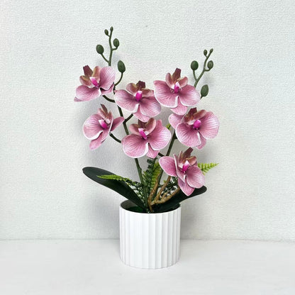 Realistische Orchideenpflanzenanordnung