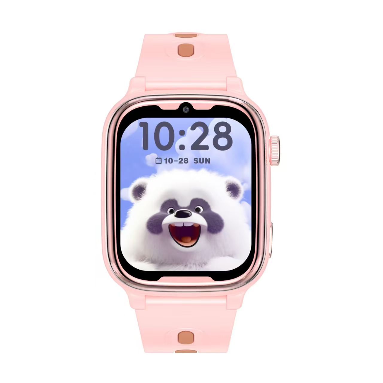 Smartwatch