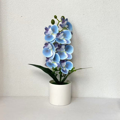 Lebensechte Orchideenblumen-Dekoration