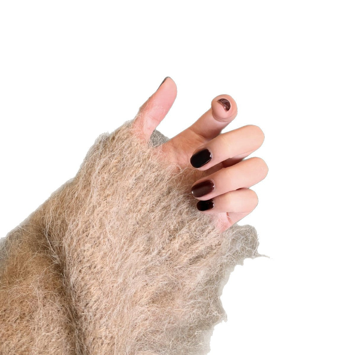 Premium Nagellack Set