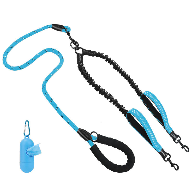 Hundetraining Leine