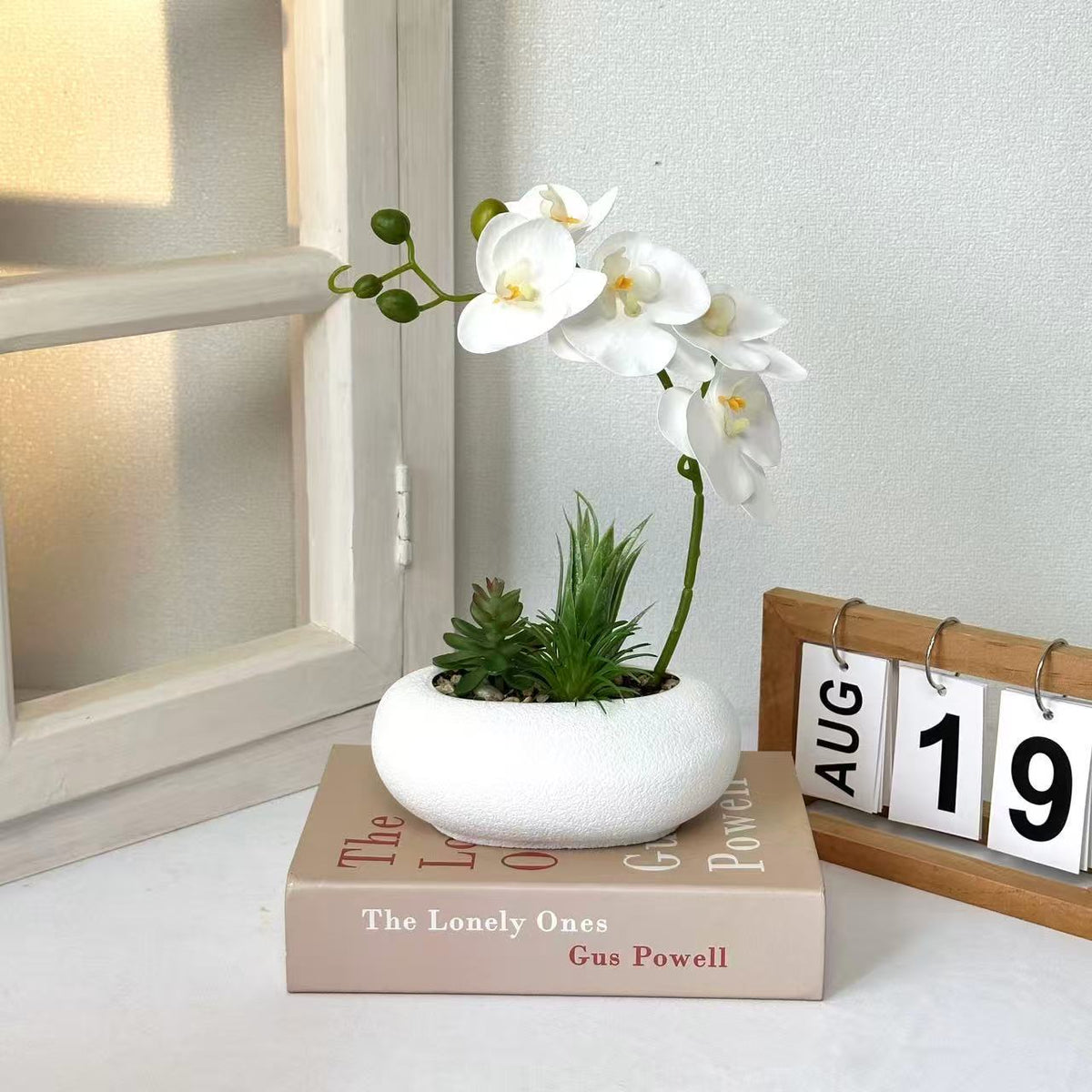 Eleganter Orchideen- und Sukkulentenpflanzer