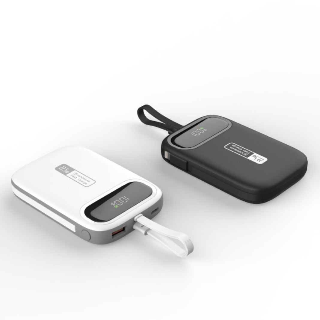 Tragbare Powerbank mit Schnellem Usb-C-Anschluss und Integrierter Led-Anzeige Brehn