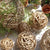 Dekorativer Naturmaterial Deko Ball Brehn