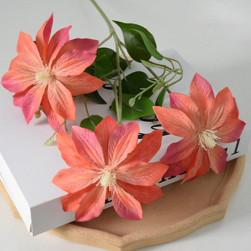 Dekorativer floraler Clematis-Stängel