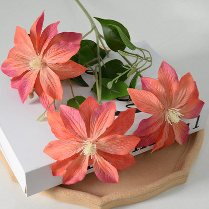 Dekorativer floraler Clematis-Stängel