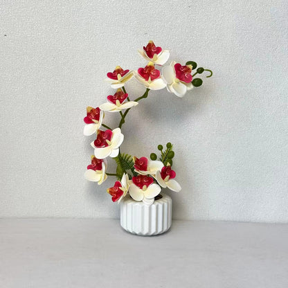Elegante Orchideenblumenarrangement