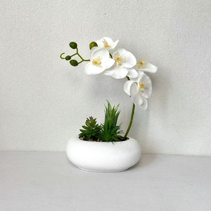 Eleganter Orchideen- und Sukkulentenpflanzer
