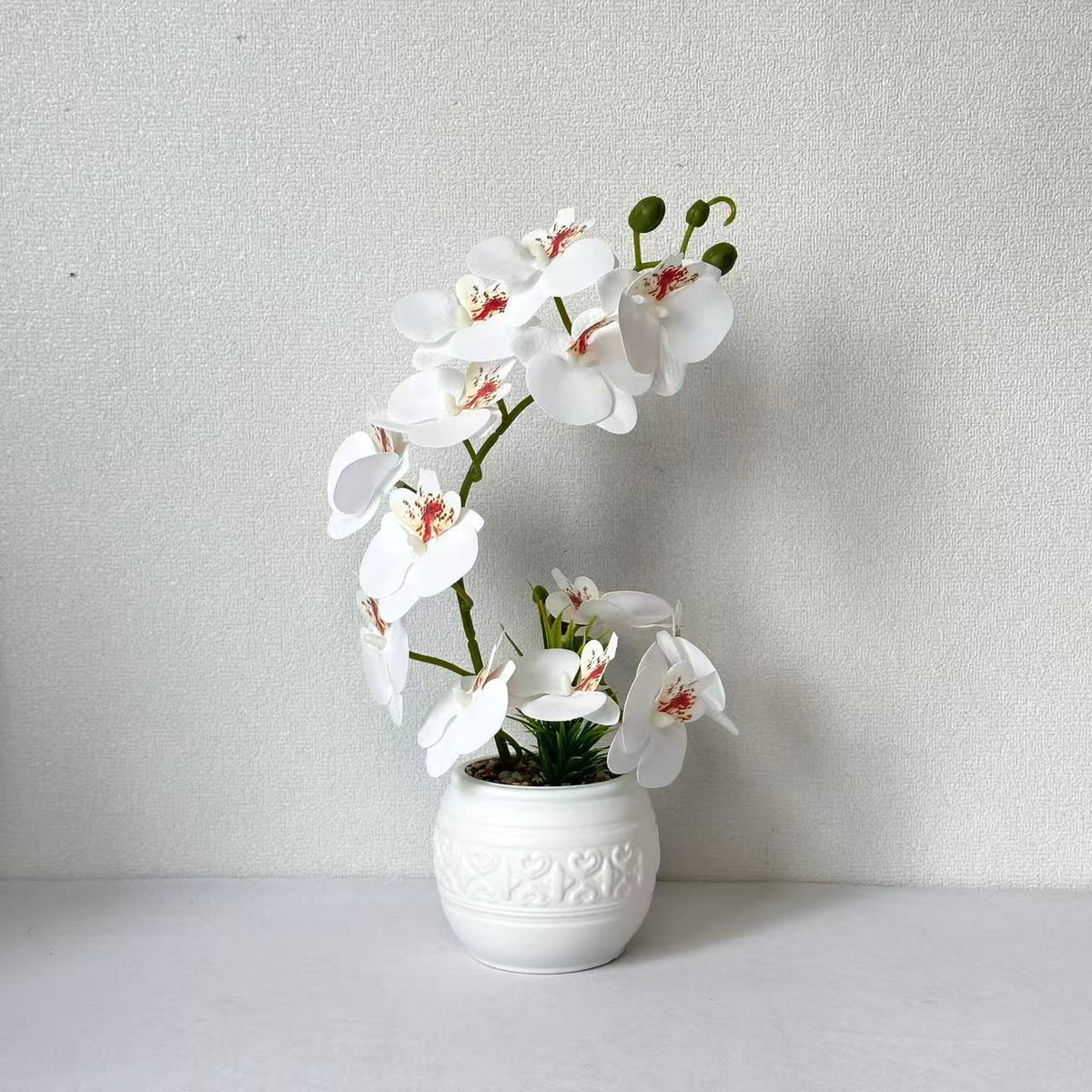 Premium Orchideenpflanzenarrangement