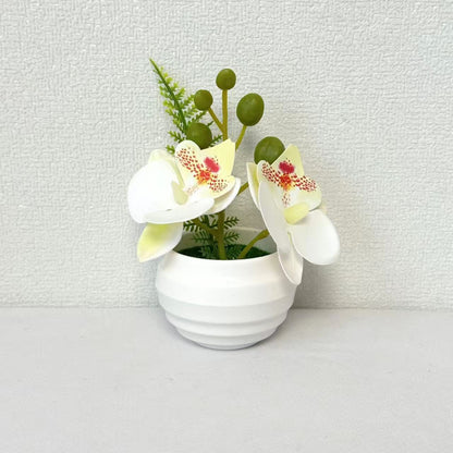 Lebensechte Miniatur-Orchideenarrangement