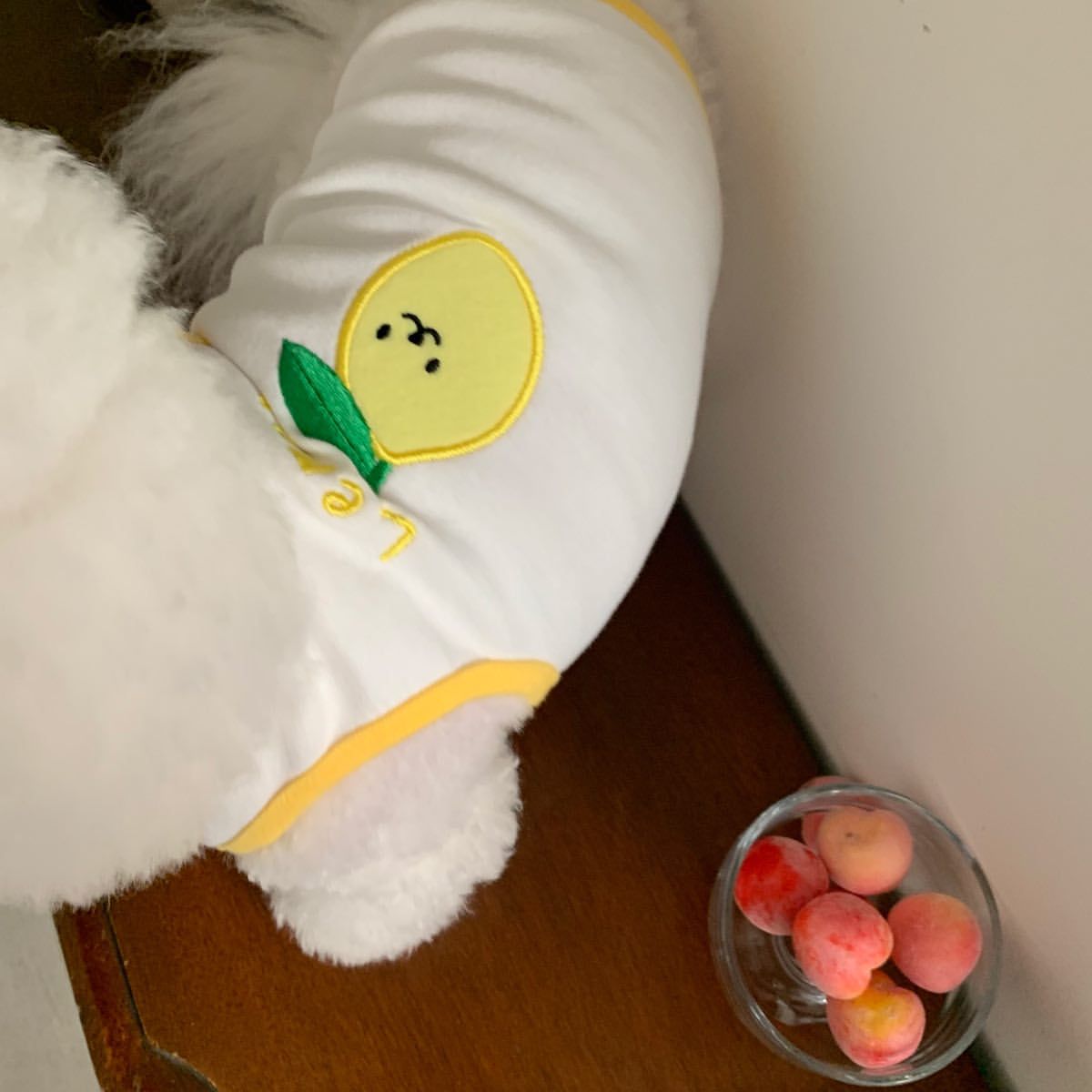 Baumwollstretch-Hundeshirt mit Pilz-Applikation