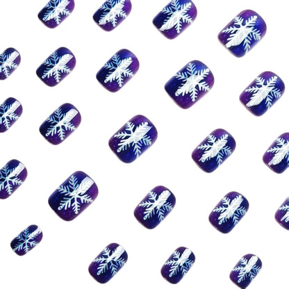 Winter-Thema Frosted Nagelkunst Brehn