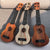 Mini Akustik Ukulele Brehn