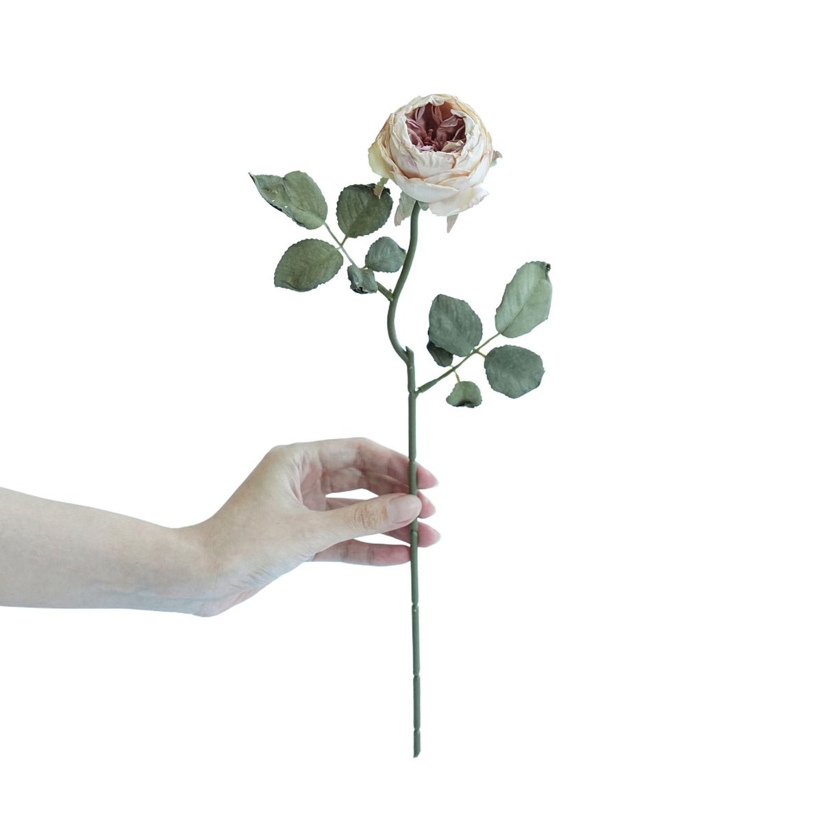 Lebensechte Rosenstiel Dekoration