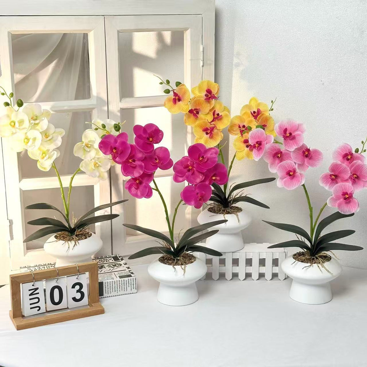 Dekorative Orchideenpflanze Tischmittelpunk