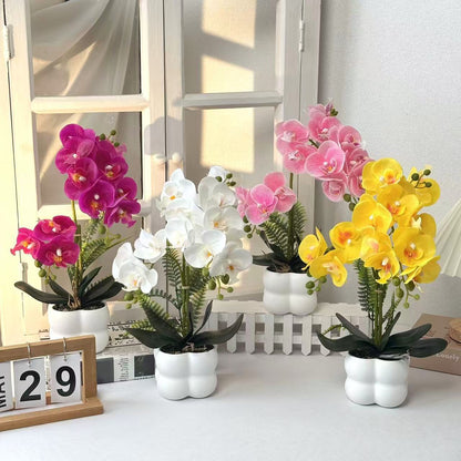 Premium lebensechte Orchideenpflanzenarrangement
