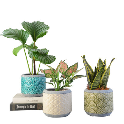 Blumentopf Brehn