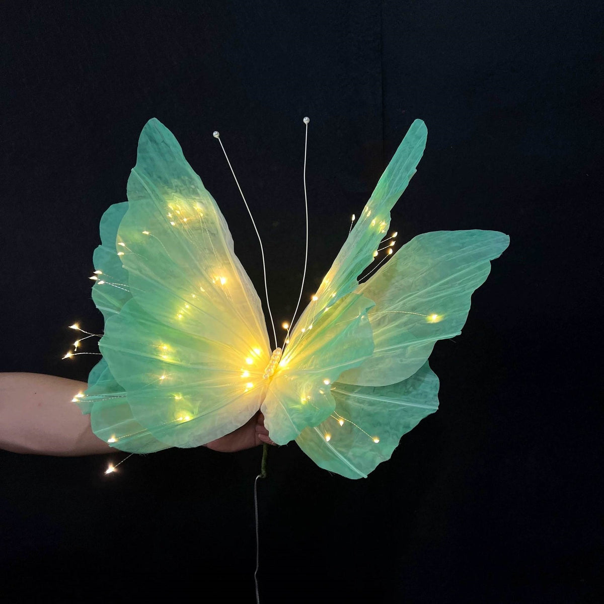 Dekorative LED Schmetterlingsnachtlicht