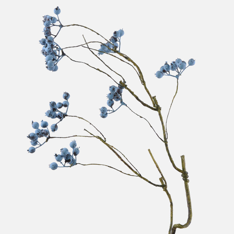 Dekorative Beerenzweig